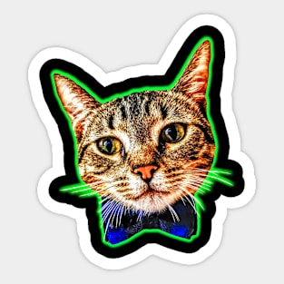 Dapper Cat Sticker